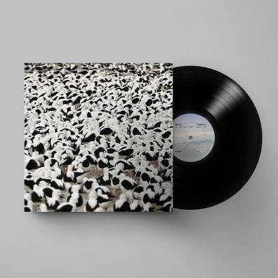 Stella Donnelly: Stella Donnelly - Flood - 375 Media - (LP / F)