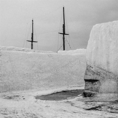 Nyos: Nature - 375 Media - (LP / N)