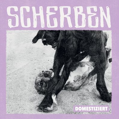 Scherben - Domestiziert - - (LP / D)