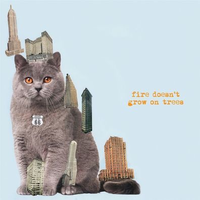 The Brian Jonestown Massacre: The Brian Jonestown Massacre - F