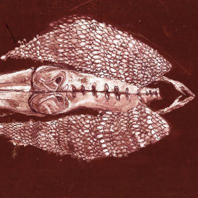 Cerberus Shoal: Cerberus Shoal - Homb (remastered) (Limited An
