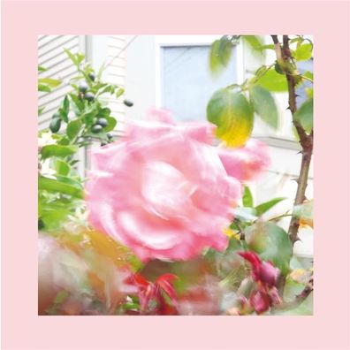 The Reds, Pinks & Purples, Pinks And Purples Reds: Summer At L