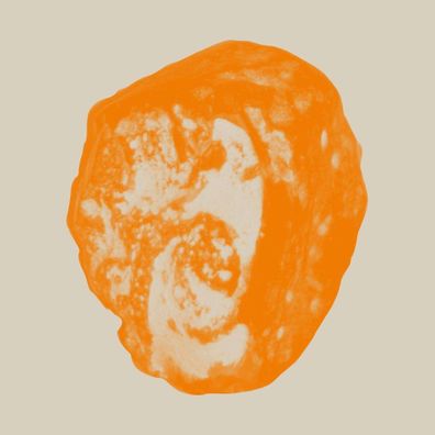 Bex Burch: There Is Only Love And Fear - - (LP / T)