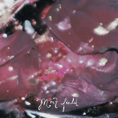 Mint Field: Aprender A Ser (fruit Punch Vinyl) - 375 Media