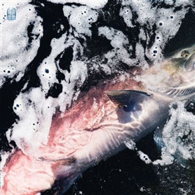 Eyvind Kang, Jessika Kenney: Azure - 375 Media - (LP / A)