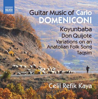 Carlo Domeniconi: Gitarrenwerke - Carlo Domeniconi - Naxos