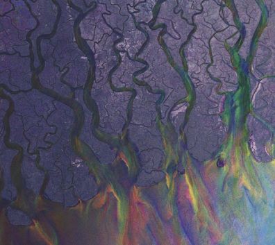 alt-J: alt-J: An Awesome Wave (13 Tracks) - Infectious - (CD
