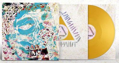 Warpaint: The Fool (Andrew Weatherall Remixes) (Limited Editio