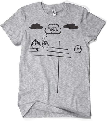 Hybris He's Got WiFi T-Shirt Heather-Grey