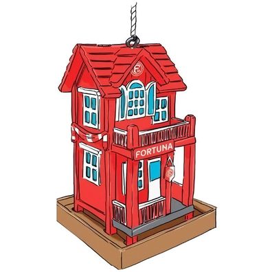 Fortuna Düsseldorf Vogelfutterhaus Fußball