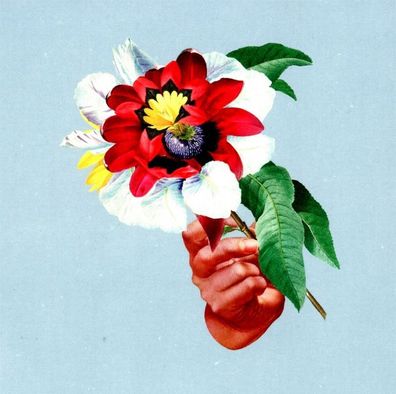 Maribou State: Kingdoms In Colour - Counter - (CD / K)