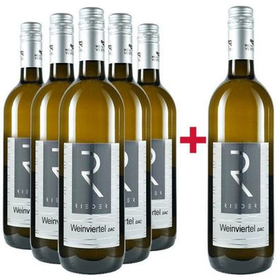 6 Flaschen Grüner Veltliner Weinviertel 2024