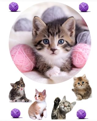 Katze Essbar Cat Zuckermasse Tortenbild Tortenaufleger + 4 Muffin c16