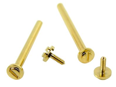 Minott 2x Schrauben Ø 1,45mm Edelstahl für Mittelbänder gelbgoldfarben 32762
