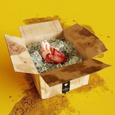 Das Lumpenpack: Emotions - - (CD / E)