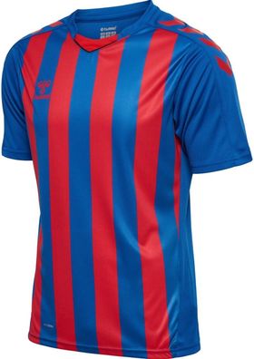 Hummel Trikot Kurzarm Hmlcore Xk Striped Jersey S/S