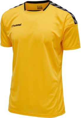 Hummel Sportshirt Hmlauthentic Poly Jersey S/S 204919