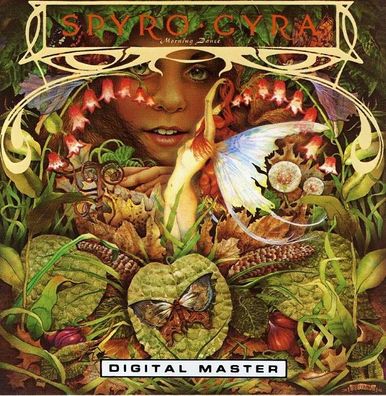 Spyro Gyra: Morning Dance - - (CD / M)