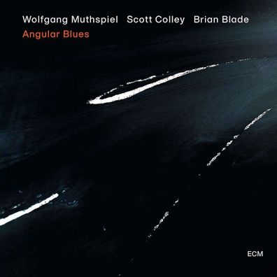 Wolfgang Muthspiel: Angular Blues - - (CD / A)
