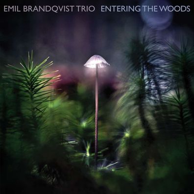 Emil Brandqvist: Entering The Woods (180g) - - (LP / E)
