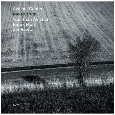 Avishai Cohen (Trumpet): Naked Truth - - (LP / N)