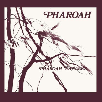 Pharoah Sanders (1940-2022): Pharoah (Limited Deluxe Edition Box) - - (LP / P)