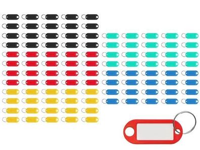 Schlüsselanhänger Set 100 Stück Schlüssel Identifikatoren bunt mit Etikett