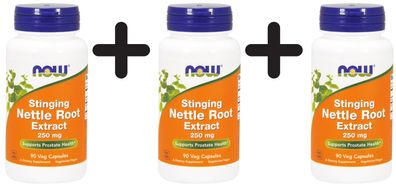 3 x NOW Foods Stinging Nettle Root Extract, 250mg - 90 vcaps
