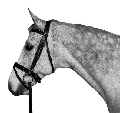 Horse Guard Trense Zügel Antirutsch Leder schwarz ergonomisch Zaumzeug englisch
