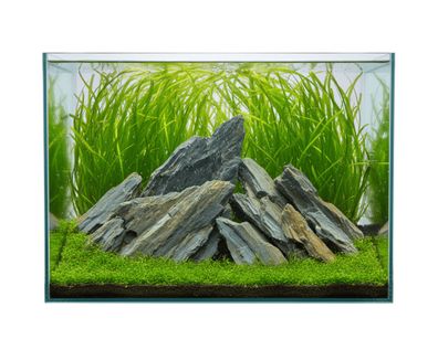 Blue Fine Stone - vers. Größen