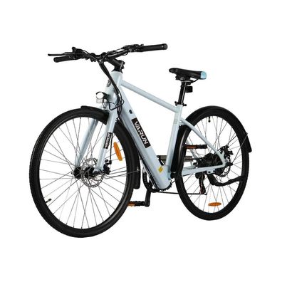 VARUN C700-7 Elektrofahrrad für Erwachsene,36V10AH 250W Motor 28 Zoll Reifen