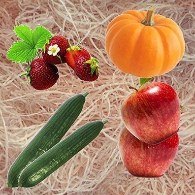 20kg Gartenholzwolle Gemüseholwolle Erdbeerholzwolle Holzwolle * Bio Qualität * PEFC