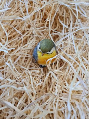 15kg Premium Nestwolle Holzwolle kaufen für Tierhaltung unbehandelt geruchsarm