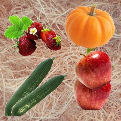 20kg Gartenholzwolle Gemüseholzwolle Erdbeerholzwolle unbehandelt aus Deutschland