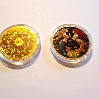 Vergoldete Medaille/Sternzeichen Fisch / /it Farbe (ST30092524)