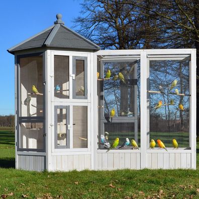 Vogelvoliere Voliere Vogelkäfig Käfig Vogelhaus # Auslauf im Set