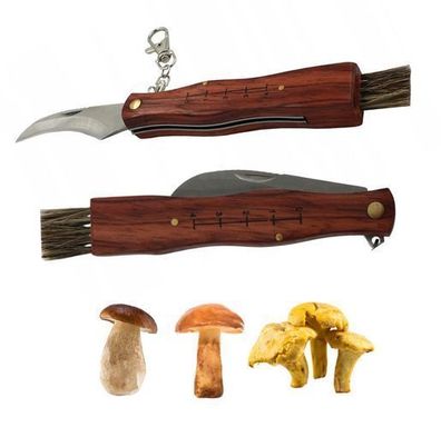 Pilzmesser Mit Bürste Schwammerlmesser Klappbar Taschenmesser Klein Pilz Messer