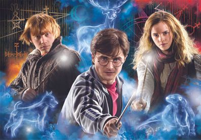 Harry Potter - Harry, Ron und Hermine