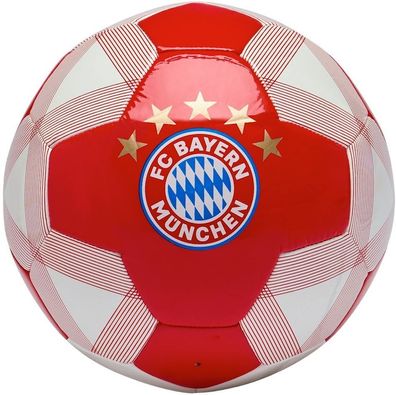 FC Bayern München Fußball 5 29531