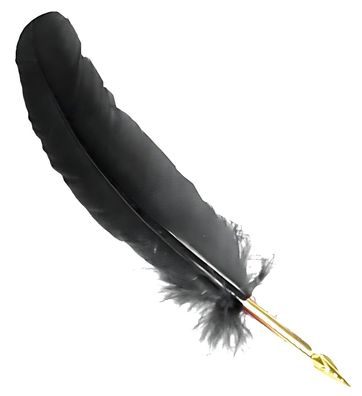 Rubinato Gänsekiel m Metallgriff als Federhalter 20er farbig sortiert