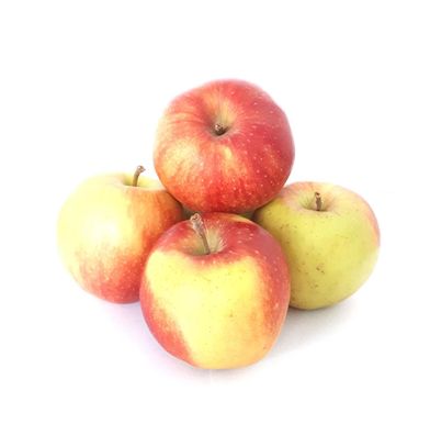 Äpfel Jonagold aus Deutschland/Bodensee süß-säuerlicher Apfel Speiseapfel 1-10 KG