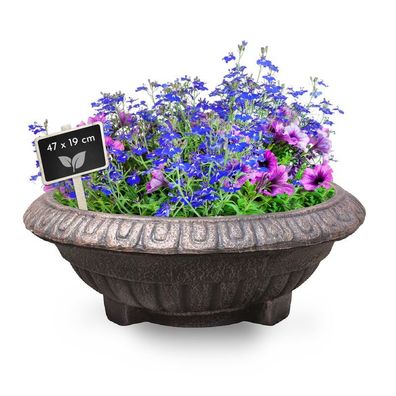 Pflanzschale BALLET rund, Pflanztopf bronze optik : bronze-optik