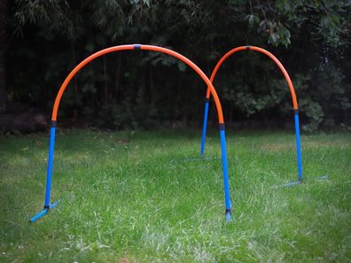 Hoopers Set, 2 Bögen, Hundetraining Set, Agility Hunde Parcour