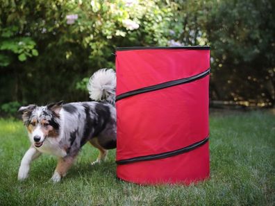Hoopers Tonne für Hundesport, Hundetraining ohne Sprünge, Agility : 1 Stück