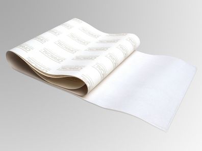 APA Lackschutzfolie Schutzfolie transparent 0,20x1,40m Steinschlagschutz