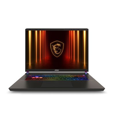 Vector 17 HX AI A2XWJG-039, Gaming-Notebook