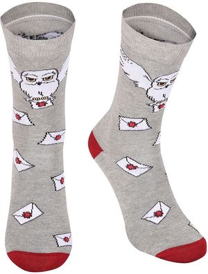 Harry Potter Hogwarts Letter Socks HAR05012SSCS