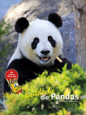 Entdecke die Pandas