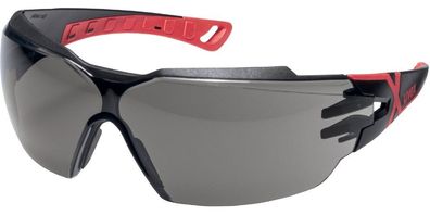 Uvex Bügelbrille Pheos Cx2 Grau Infrarotschutz 3,0 Inf. Plus 9198173