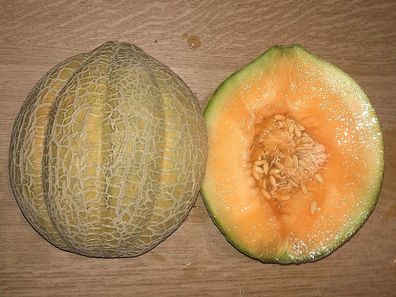 Zuckermelone Oregon Delicious 5+ SAMEN Cm 050